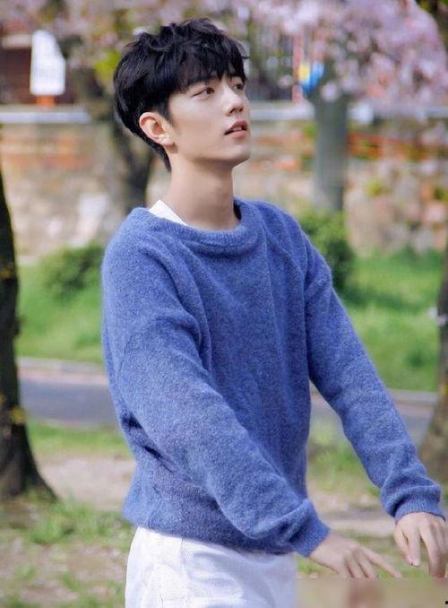 肖战圈内爆料王源,揭秘肖战圈内爆料背后的故事